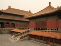 02_peking forb005