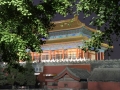 02_peking forb006